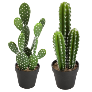 Cactus artificial